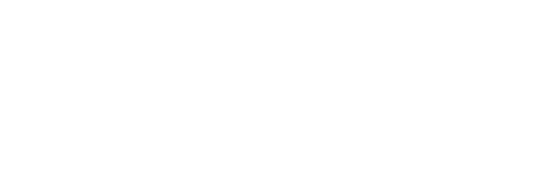 The Next Collection